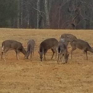 Meet your Posher, Deborah
